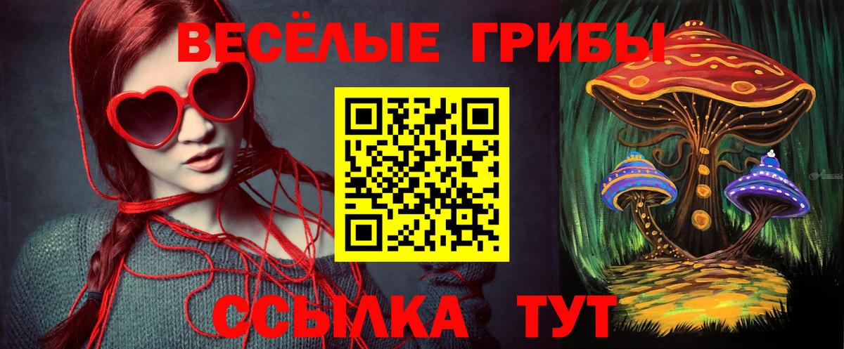 Галлюциногенные грибы Cubensis Усинск
