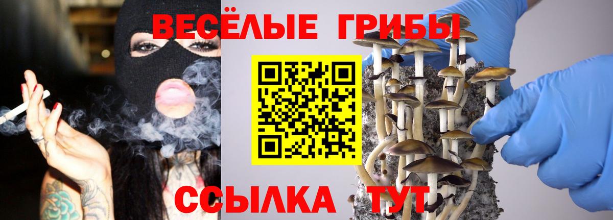 Галлюциногенные грибы прущие грибы  Вход с VPN  сколько стоит  Усинск  Галлюциногенные грибы прущие грибы 